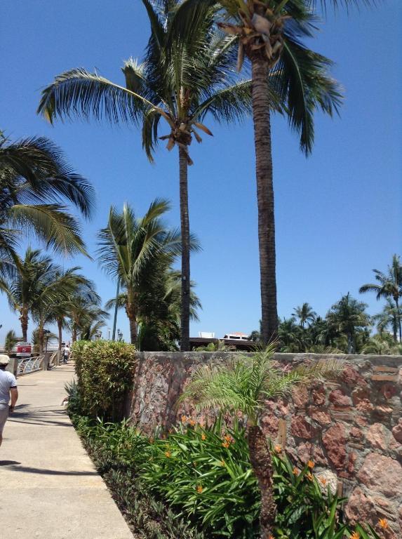 Molino De Agua Hotel Puerto Vallarta Exterior photo